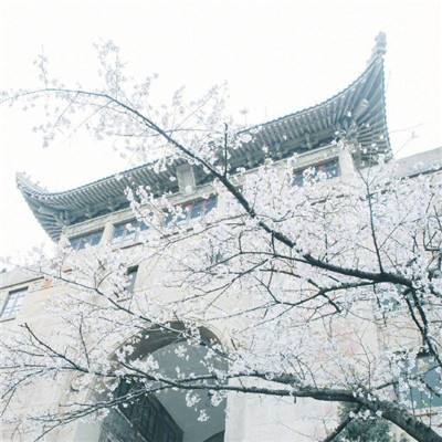 剑舞乾坤果盘版下载